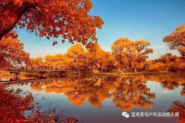 风暴英雄