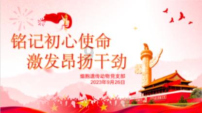 一个人为什么逃避，不知道为什么要逃避，谁也不知道脑子在想啥游戏画面